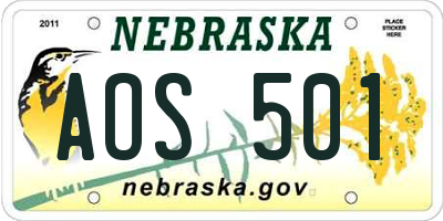 NE license plate AOS501