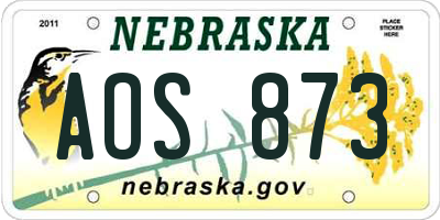 NE license plate AOS873