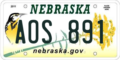 NE license plate AOS891