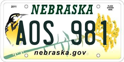NE license plate AOS981