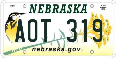 NE license plate AOT319