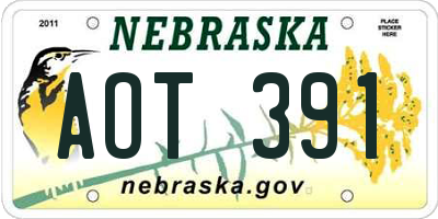 NE license plate AOT391