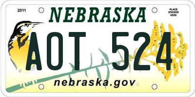 NE license plate AOT524
