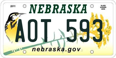 NE license plate AOT593