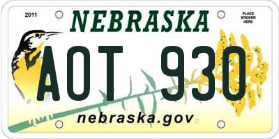 NE license plate AOT930