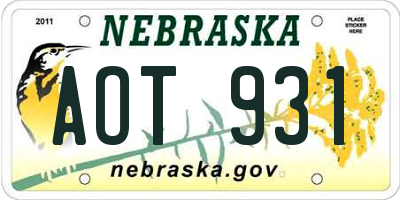 NE license plate AOT931