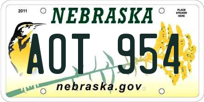 NE license plate AOT954