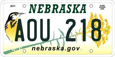 NE license plate AOU218