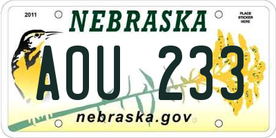 NE license plate AOU233