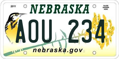 NE license plate AOU234