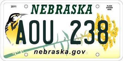 NE license plate AOU238