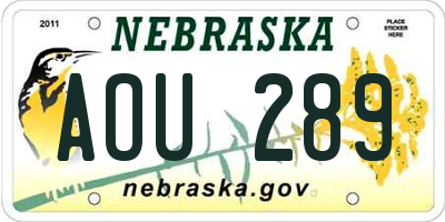 NE license plate AOU289
