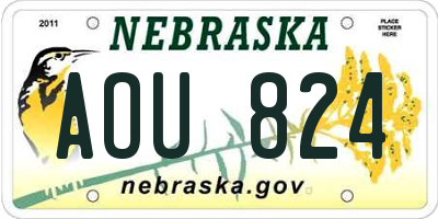 NE license plate AOU824