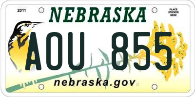 NE license plate AOU855