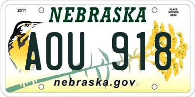 NE license plate AOU918