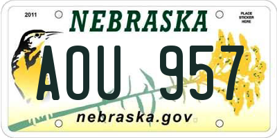 NE license plate AOU957