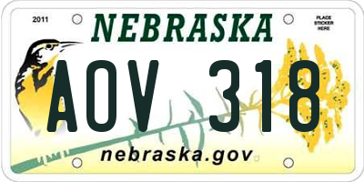 NE license plate AOV318