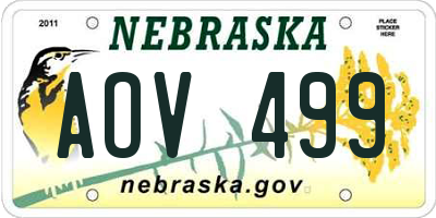 NE license plate AOV499