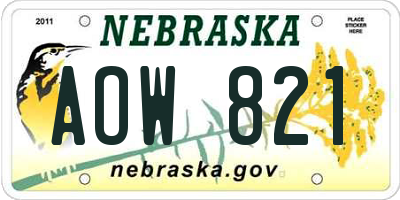 NE license plate AOW821