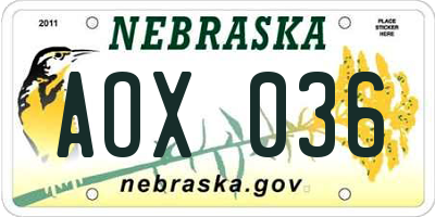 NE license plate AOX036