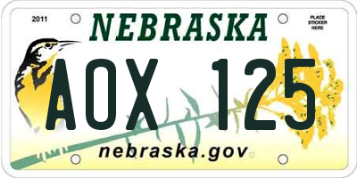 NE license plate AOX125