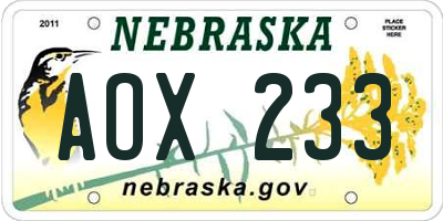 NE license plate AOX233