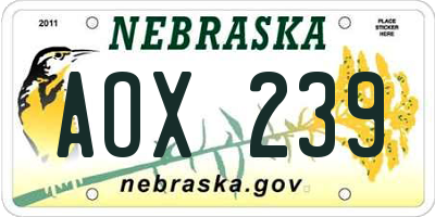 NE license plate AOX239