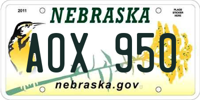 NE license plate AOX950