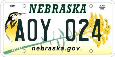 NE license plate AOY024