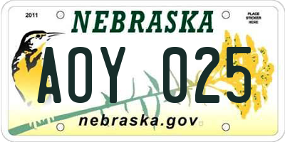 NE license plate AOY025