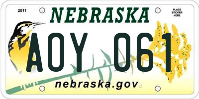NE license plate AOY061