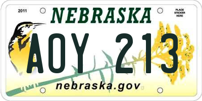 NE license plate AOY213