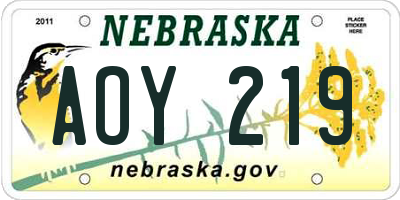 NE license plate AOY219