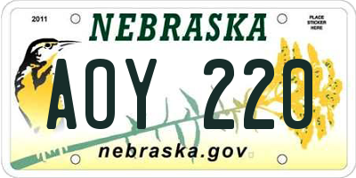 NE license plate AOY220