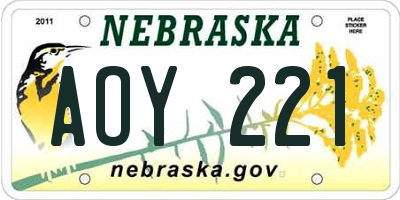 NE license plate AOY221
