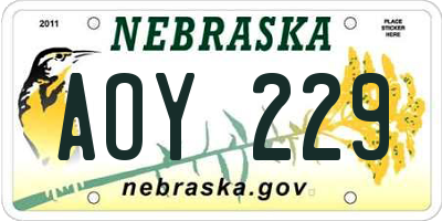 NE license plate AOY229