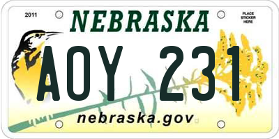 NE license plate AOY231