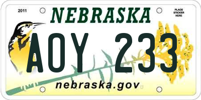 NE license plate AOY233
