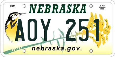 NE license plate AOY251