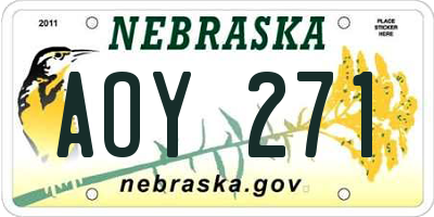 NE license plate AOY271