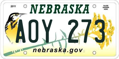 NE license plate AOY273