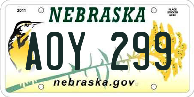 NE license plate AOY299
