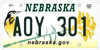 NE license plate AOY301