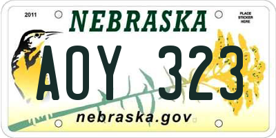 NE license plate AOY323