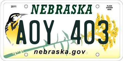 NE license plate AOY403
