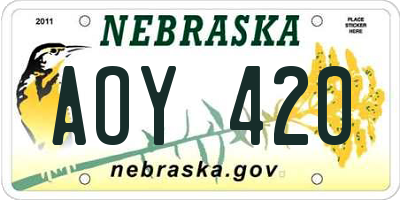 NE license plate AOY420