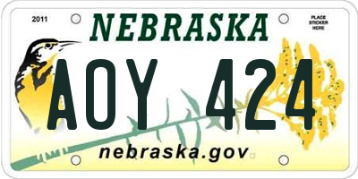 NE license plate AOY424