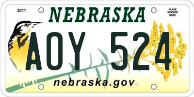 NE license plate AOY524