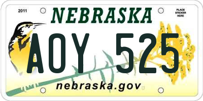 NE license plate AOY525