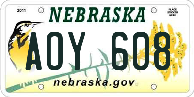 NE license plate AOY608